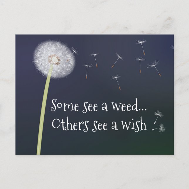 Carte postale Dandelion Design (Devant)