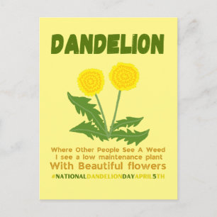 Carte Postale Dandelion n'est pas une mauvaise herbe dans mon ja