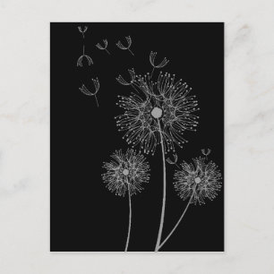 Carte Postale Dandelion noir et blanc art floral moderne