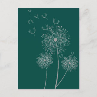 Carte Postale Dandelion pure florale moderne