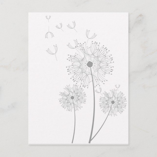 Carte Postale Dandelion pure florale moderne (Devant)