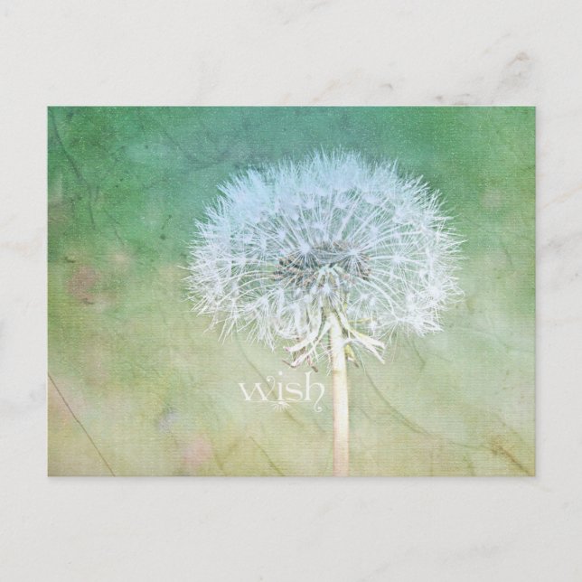 Carte Postale Dandelion Wish Dreamy Design (Devant)