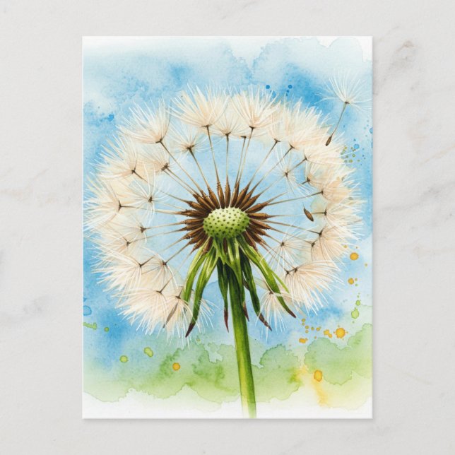 Carte postale Dandelions (Devant)
