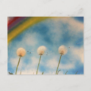Carte Postale Dandelions dans le vent