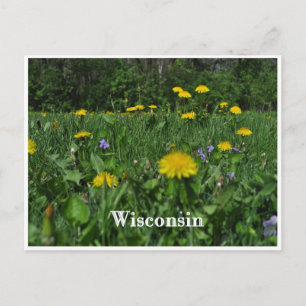 Carte Postale Dandelions & Violettes
