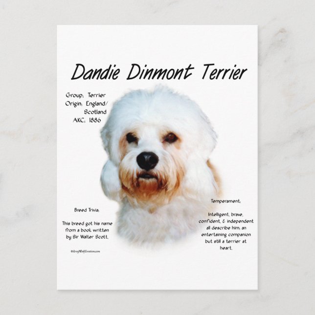 Carte Postale Dandie Dinmont Terrier Conception historique (Devant)