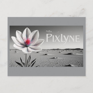 Carte postale d'Andrew Goodchild