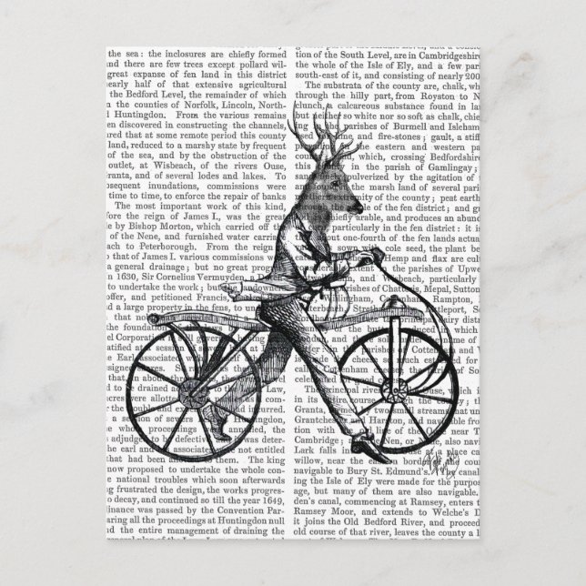 Carte Postale Dandy Deer à vélo Vintage (Devant)
