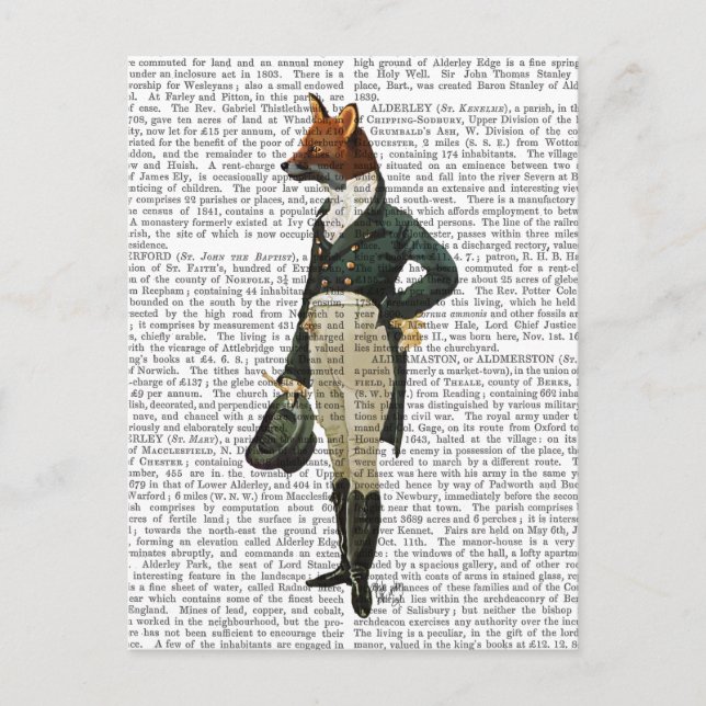 Carte Postale Dandy Fox Full 2 (Devant)