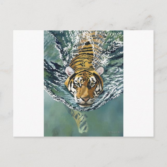 Carte Postale Danger Ahoy ! (Devant)