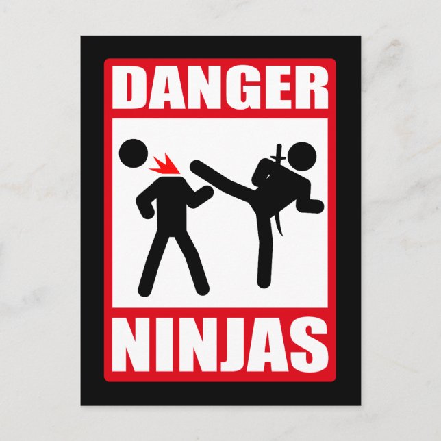 Carte Postale Danger Ninjas (Devant)