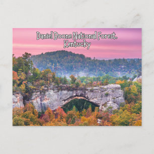 Carte postale Daniel Boone National Forest Kentuck