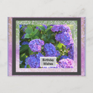 Carte postale d'anniversaire à cadre photo