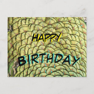 Carte postale d'anniversaire à motif de plumes de 