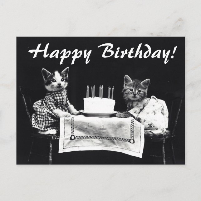 Carte postale d'anniversaire aux chats vintages (Devant)