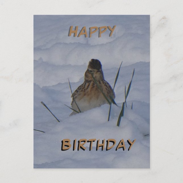 Carte postale d'anniversaire avec texte personnali (Devant)