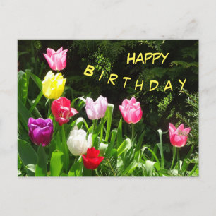 Carte postale d'anniversaire avec tulipes colorées