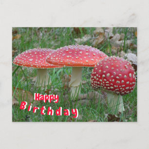 Carte postale d'anniversaire colorée Fly Amanitas