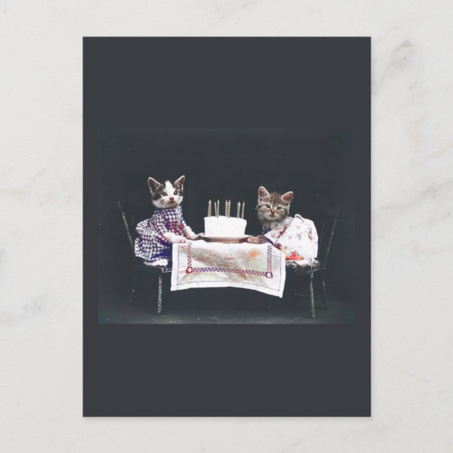 Carte postale d'anniversaire de Kittens vintage (Devant)