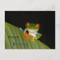 Carte postale d'anniversaire de la grenouille voya