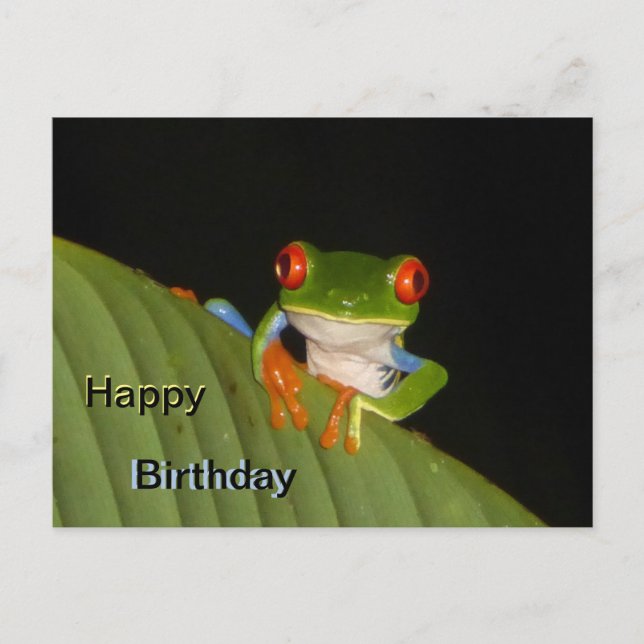 Carte postale d'anniversaire de la grenouille voya (Devant)