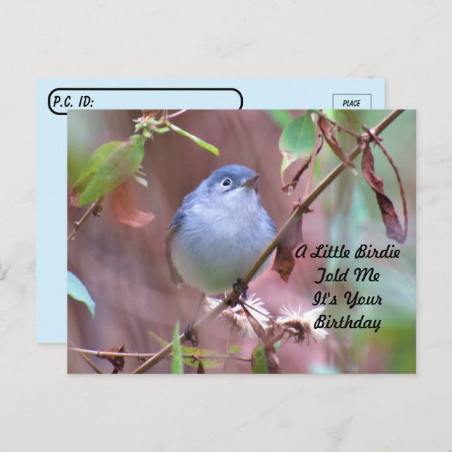 Carte postale d'anniversaire de Postcrossing Littl (Devant / Derrière)