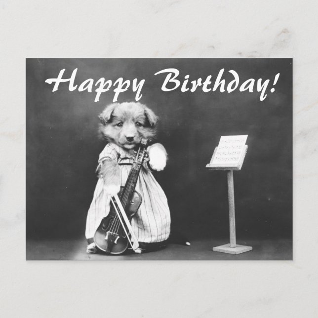 Carte postale d'anniversaire de violon pour chien  (Devant)