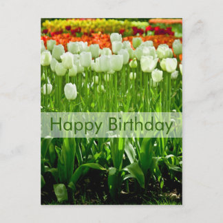 Carte postale d'anniversaire des tulipes | Geburts