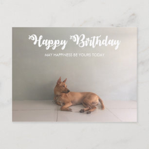 Carte postale d'anniversaire du chien de Ridgeback