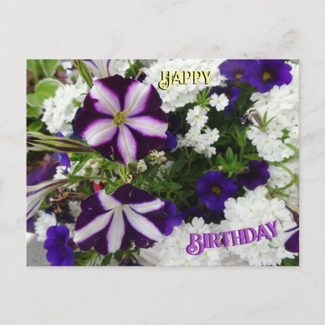 Carte postale d'anniversaire Fleurs blanches viole (Devant)