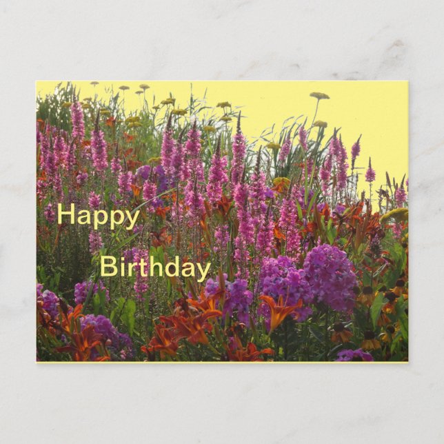 Carte postale d'anniversaire Fleurs sauvages color (Devant)