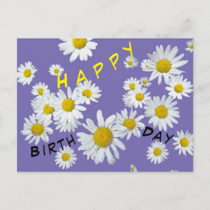 Carte postale d'anniversaire Marguerites blanches 