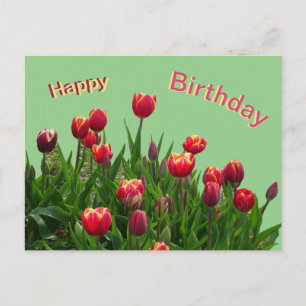 Carte postale d'anniversaire personnalisée avec de