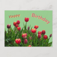 Carte postale d'anniversaire personnalisée avec tu