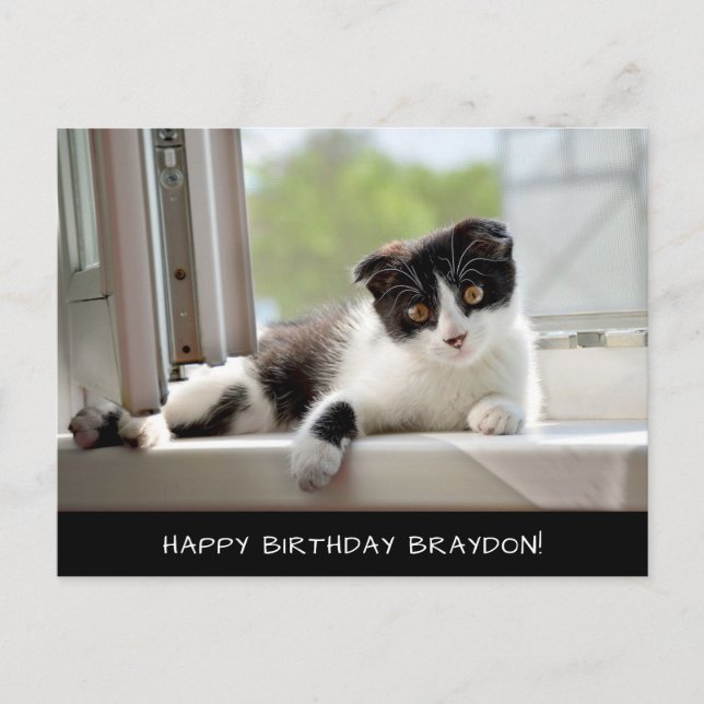 Carte postale d'anniversaire pour chat noir et bla (Devant)