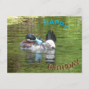 Carte postale d'anniversaire pour un canard Ringta