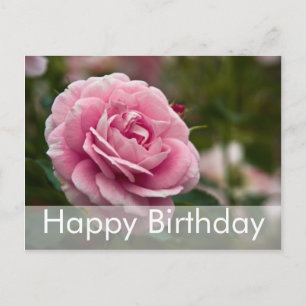 Carte postale d'anniversaire rose Geburtstagskar