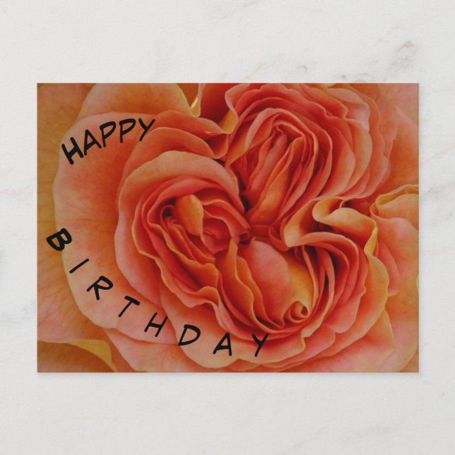 Carte postale d'anniversaire Rose Pastel Belle (Devant)