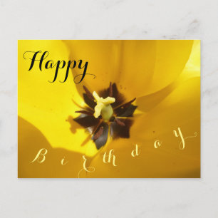 Carte postale d'anniversaire Tulipe jaune en gros 