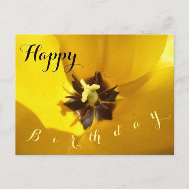 Carte postale d'anniversaire Tulipe jaune en gros  (Devant)