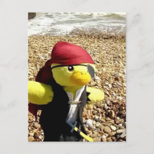 Carte Postale Danny Duck le Pirate