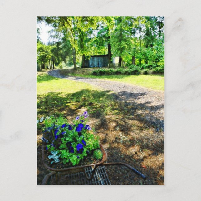 Carte Postale Dans la forêt (Devant)