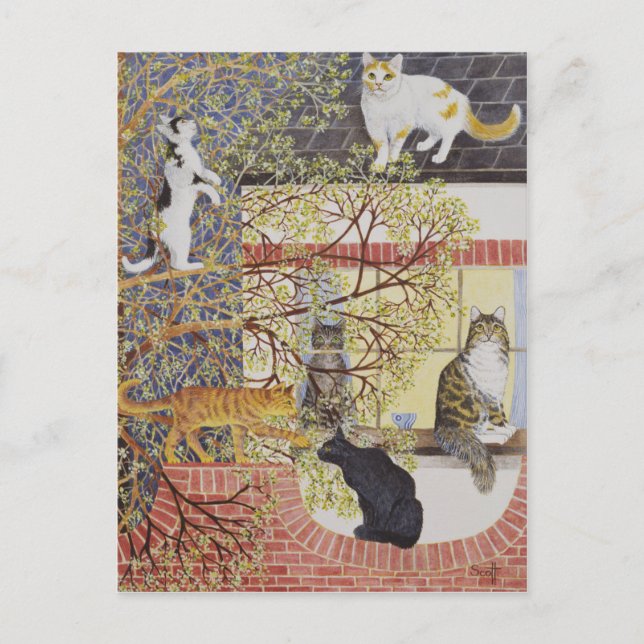 Carte Postale Dans la lumière (Devant)