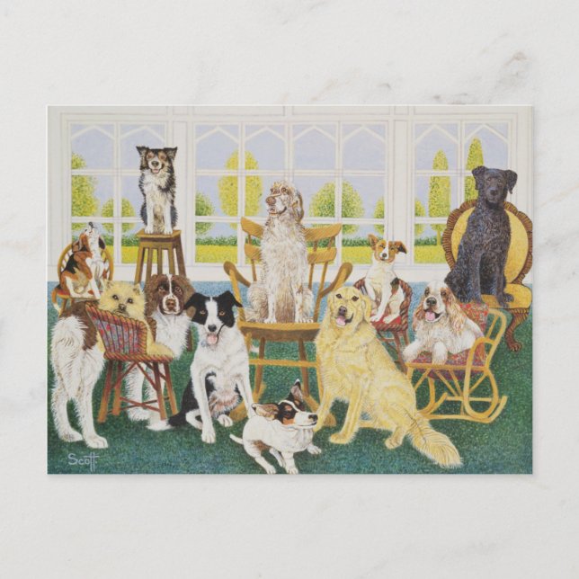 Carte Postale Dans la maison des chiens (Devant)