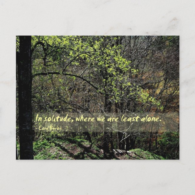 Carte Postale Dans la solitude... (Devant)