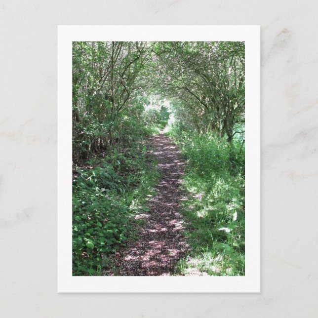Carte Postale Dans le bois : Cheshire, Angleterre (Devant)