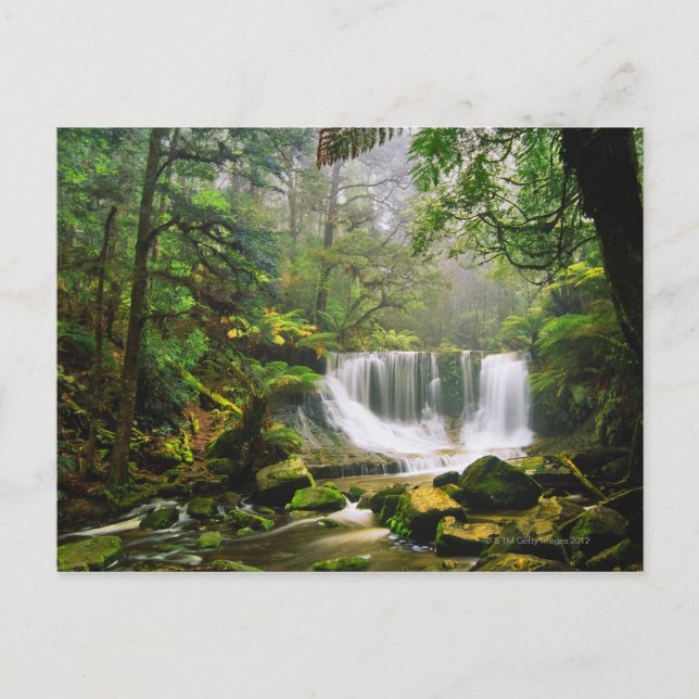 Carte Postale dans le parc national Mount Field (Devant)