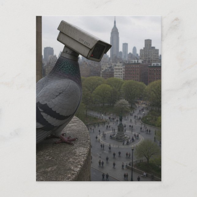 Carte Postale dans le parc Un pigeon caméra de surveillance surr (Devant)