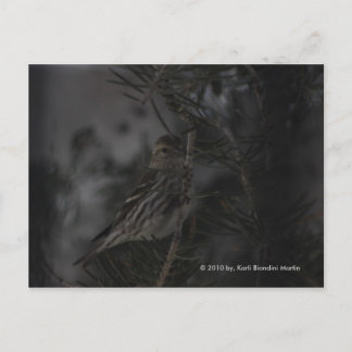 Carte Postale Dans le pin
