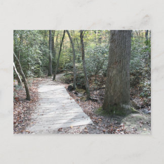 Carte Postale Dans les bois